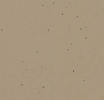 Линолеум Forbo Sphera Energetic 50209 nutmeg фото 1 | FLOORDEALER